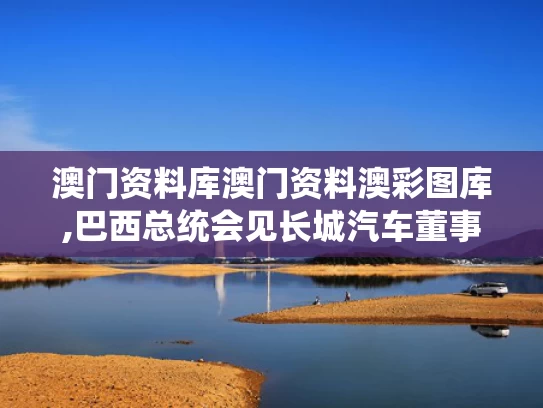 澳门资料库澳门资料澳彩图库,巴西总统会见长城汽车董事长魏建军