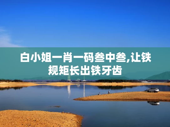 白小姐一肖一码叁中叁,让铁规矩长出铁牙齿