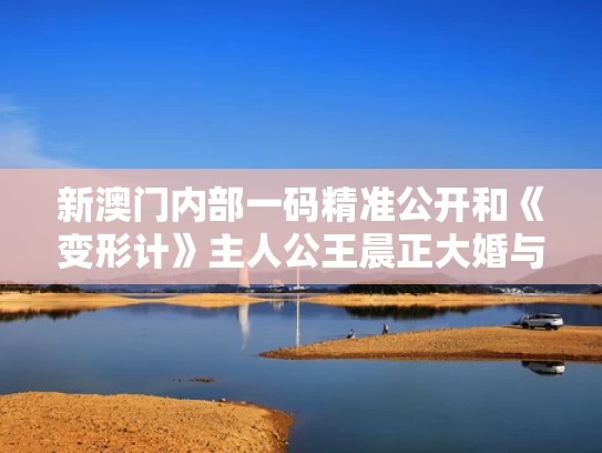 新澳门内部一码精准公开和《变形计》主人公王晨正大婚与变形计王晨正女主人公