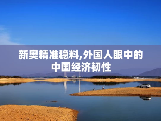 新奥精准稳料,外国人眼中的中国经济韧性