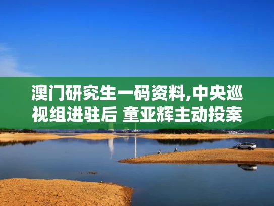 澳门研究生一码资料,中央巡视组进驻后 童亚辉主动投案
