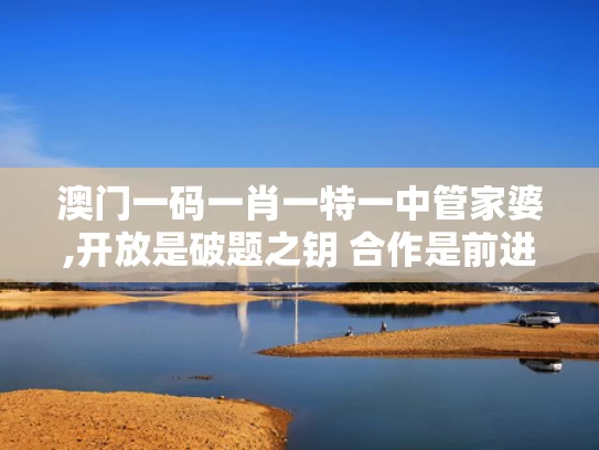 澳门一码一肖一特一中管家婆,开放是破题之钥 合作是前进之道