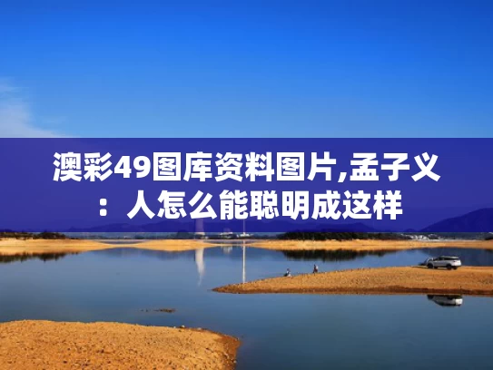 澳彩49图库资料图片,孟子义：人怎么能聪明成这样