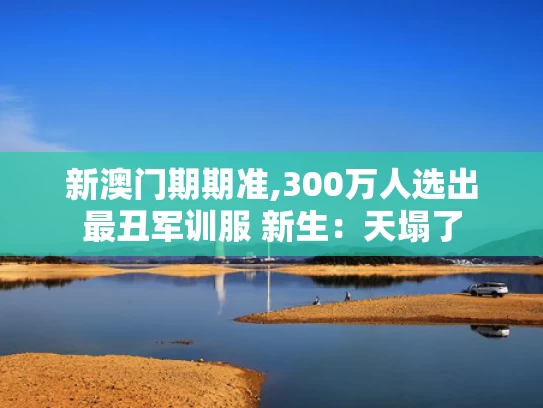 新澳门期期准,300万人选出最丑军训服 新生：天塌了