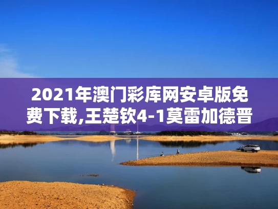 2021年澳门彩库网安卓版免费下载,王楚钦4-1莫雷加德晋级决赛