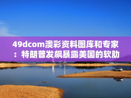 49dcom澳彩资料图库	和专家：特朗普发飙暴露美国的软肋与特朗普暗示