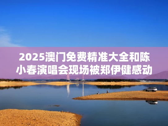 2025澳门免费精准大全和陈小春演唱会现场被郑伊健感动落泪与陈小春演唱会郑伊健等四人到场