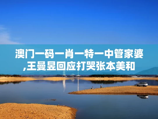 澳门一码一肖一特一中管家婆,王曼昱回应打哭张本美和