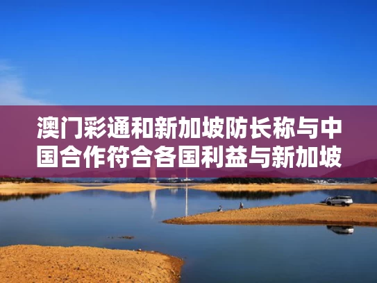 澳门彩通和新加坡防长称与中国合作符合各国利益与新加坡防务