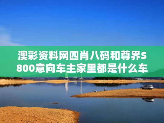澳彩资料网四肖八码	和尊界S800意向车主家里都是什么车与