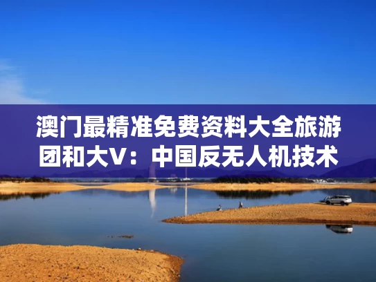 澳门最精准免费资料大全旅游团和大V：中国反无人机技术世界领先与反无人机系统未来走向