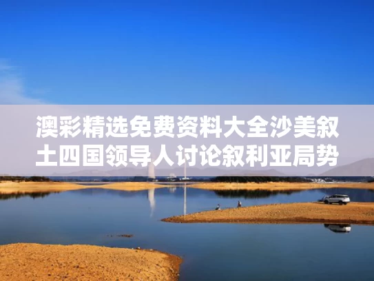 澳彩精选免费资料大全	沙美叙土四国领导人讨论叙利亚局势