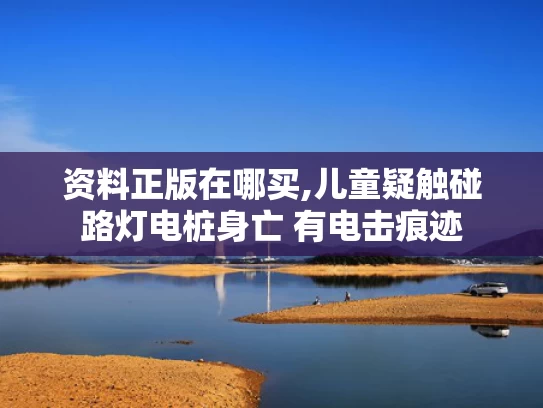 资料正版在哪买,儿童疑触碰路灯电桩身亡 有电击痕迹