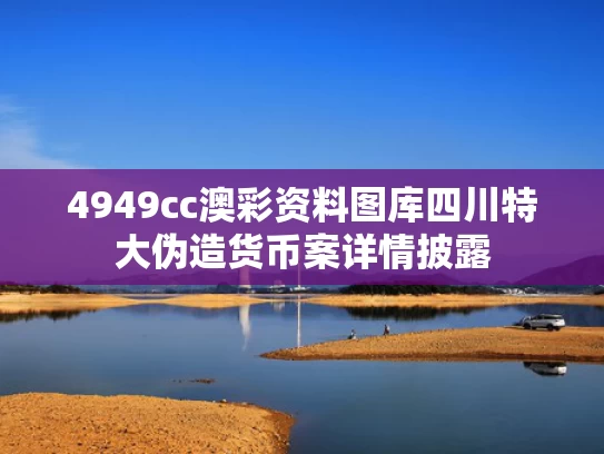 4949cc澳彩资料图库	四川特大伪造货币案详情披露