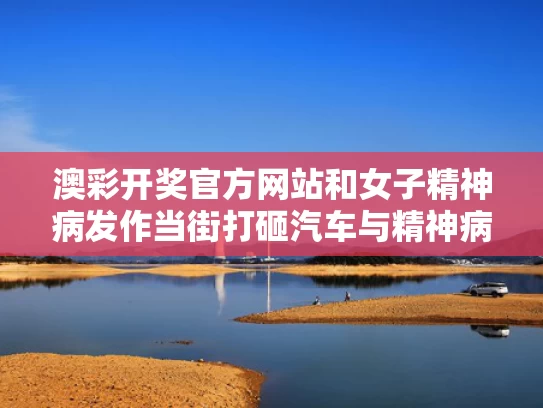 澳彩开奖官方网站	和女子精神病发作当街打砸汽车与精神病患者砸车
