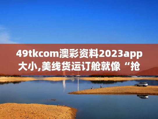 49tkcom澳彩资料2023app大小,美线货运订舱就像“抢票”