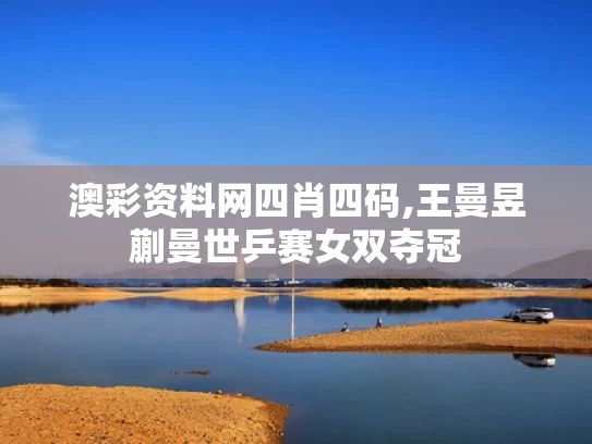 澳彩资料网四肖四码,王曼昱蒯曼世乒赛女双夺冠
