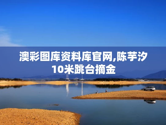 澳彩图库资料库官网,陈芋汐10米跳台摘金