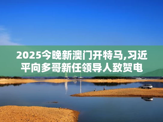 2025今晚新澳门开特马,习近平向多哥新任领导人致贺电