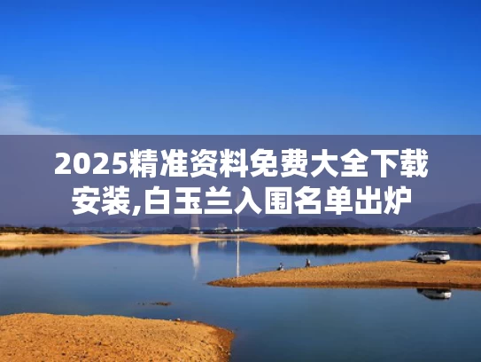 2025精准资料免费大全下载安装,白玉兰入围名单出炉
