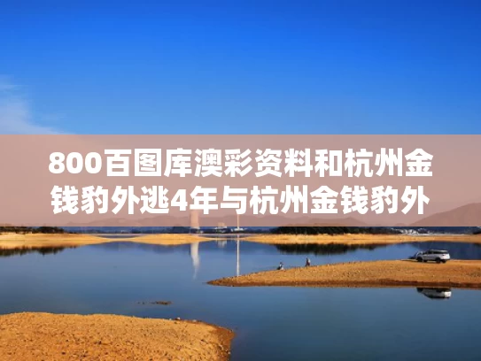 800百图库澳彩资料	和杭州金钱豹外逃4年与杭州金钱豹外逃视频