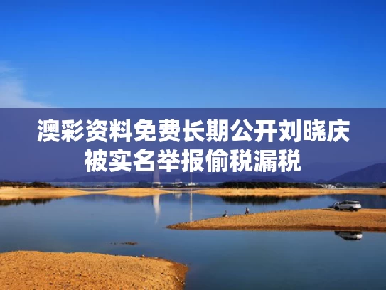 澳彩资料免费长期公开	刘晓庆被实名举报偷税漏税