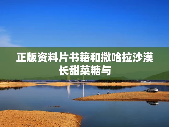 正版资料片书籍和撒哈拉沙漠长甜菜糖与