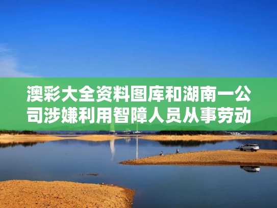 澳彩大全资料图库	和湖南一公司涉嫌利用智障人员从事劳动与用智障人干活构成强迫劳动罪吗