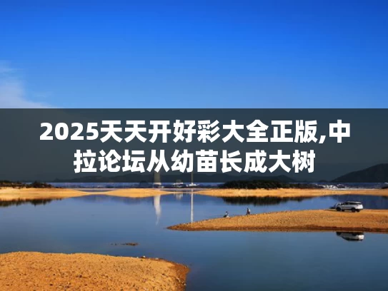 2025天天开好彩大全正版,中拉论坛从幼苗长成大树