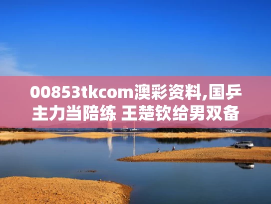 00853tkcom澳彩资料,国乒主力当陪练 王楚钦给男双备战