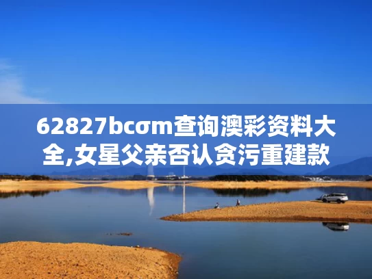 2025年5月17日 第8页