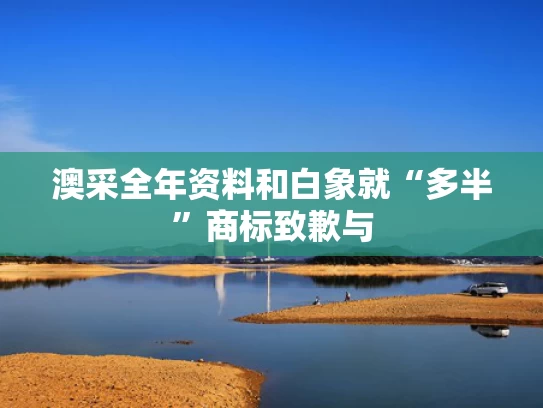 澳采全年资料和白象就“多半”商标致歉与