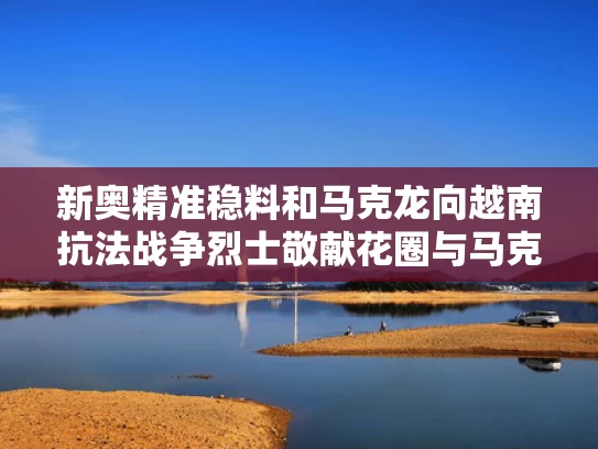 新奥精准稳料和马克龙向越南抗法战争烈士敬献花圈与马克龙 内部讲话