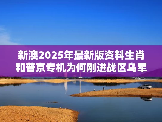 新澳2025年最新版资料生肖和普京专机为何刚进战区乌军就动手了与普京专机是什么型号
