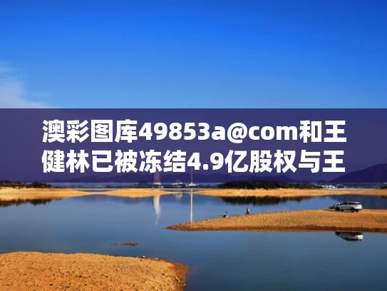 澳彩图库49853a@com和王健林已被冻结4.9亿股权与王健林资金