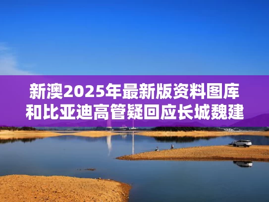 新澳2025年最新版资料图库和比亚迪高管疑回应长城魏建军言论与比亚迪魏百度百科