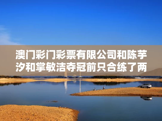 澳门彩门彩票有限公司和陈芋汐和掌敏洁夺冠前只合练了两次与陈芋汐训练经历