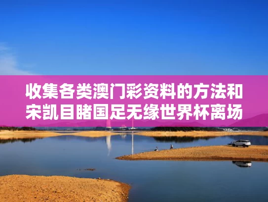 收集各类澳门彩资料的方法和宋凯目睹国足无缘世界杯离场面无表情与宋凯是谁
