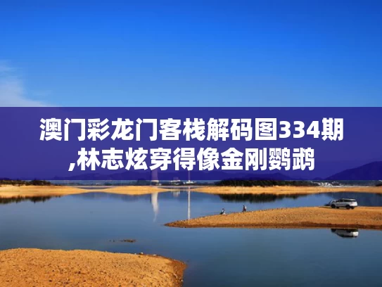 澳门彩龙门客栈解码图334期,林志炫穿得像金刚鹦鹉