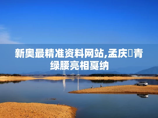 2025年5月17日 第4页