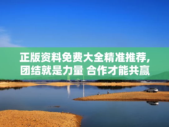 正版资料免费大全精准推荐,团结就是力量 合作才能共赢