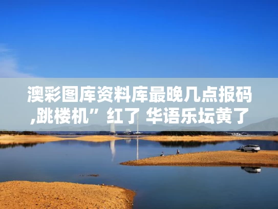澳彩图库资料库最晚几点报码,跳楼机”红了 华语乐坛黄了