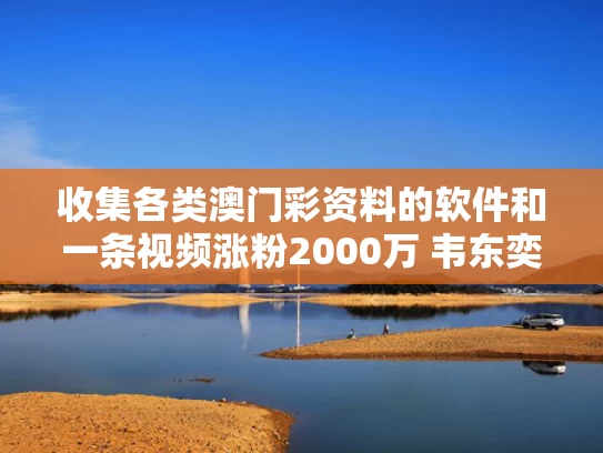 收集各类澳门彩资料的软件和一条视频涨粉2000万 韦东奕凭什么与韦东奕爆红视频