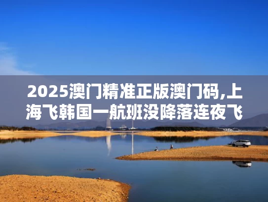 2025澳门精准正版澳门码,上海飞韩国一航班没降落连夜飞回国