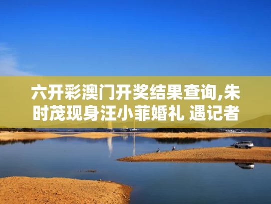 六开彩澳门开奖结果查询,朱时茂现身汪小菲婚礼 遇记者速逃离