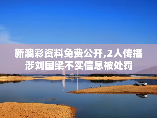 新澳彩资料免费公开,2人传播涉刘国梁不实信息被处罚