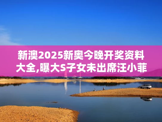 新澳2025新奥今晚开奖资料大全,曝大S子女未出席汪小菲婚礼