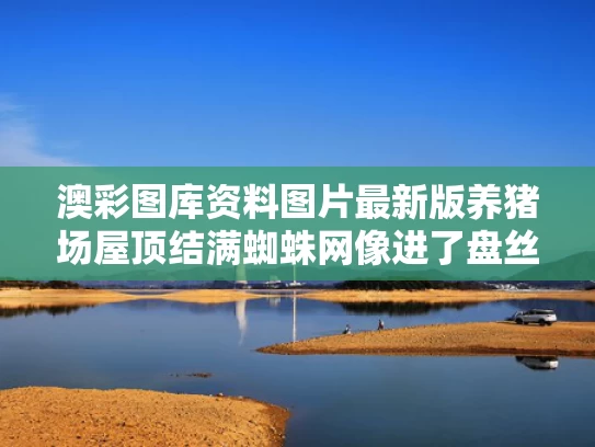 2025年5月18日