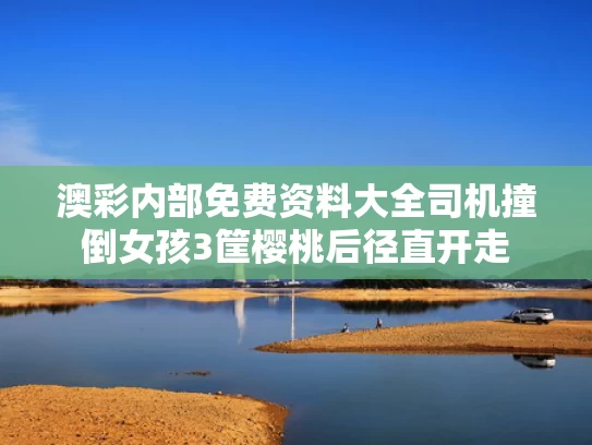 澳彩内部免费资料大全	司机撞倒女孩3筐樱桃后径直开走