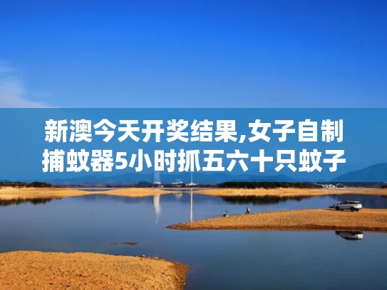 新澳今天开奖结果,女子自制捕蚊器5小时抓五六十只蚊子